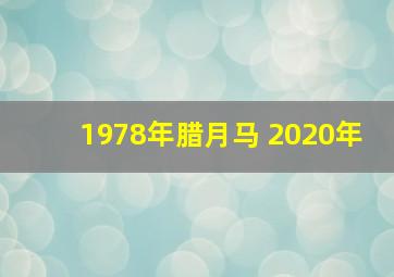 1978年腊月马 2020年